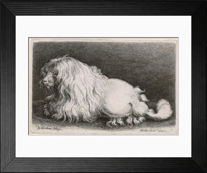 Framed Print : Very Early Dog in 1649 Framed Print : Very Early Dog in 1649
