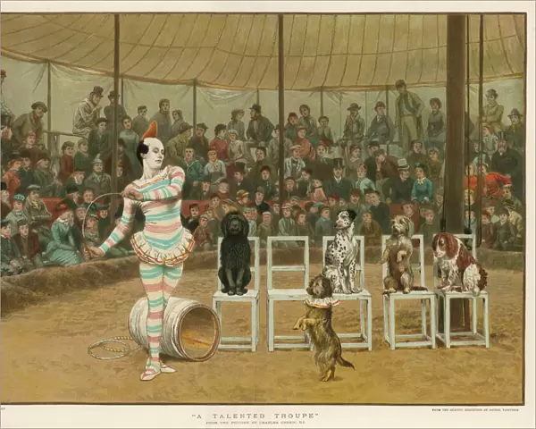 Dogs and Circus Clown