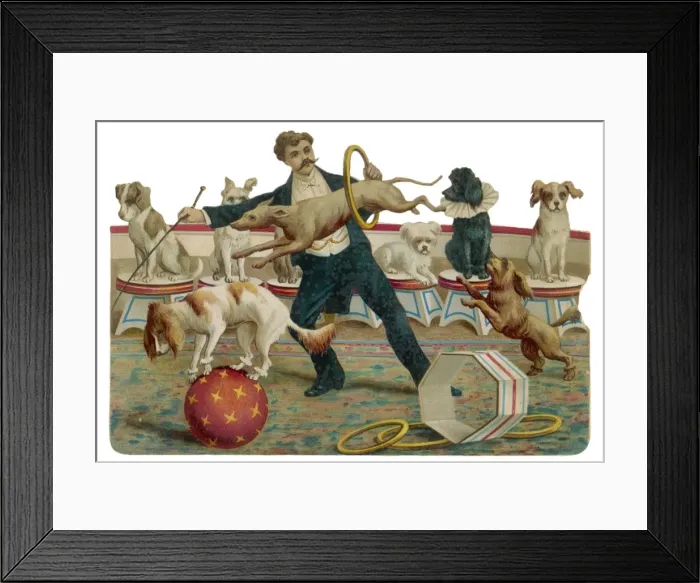Framed Print : Dogs at Hippodrome Framed Print : Dogs at Hippodrome
