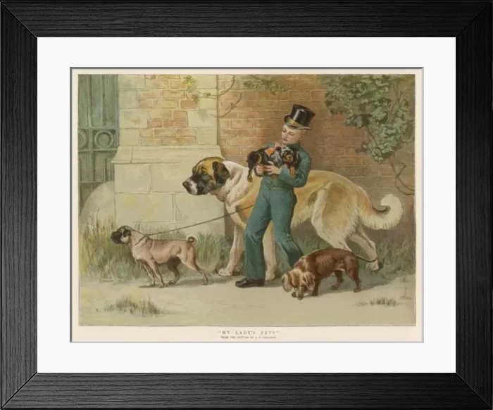 Framed Print : Walking the Dogs Framed Print : Walking the Dogs