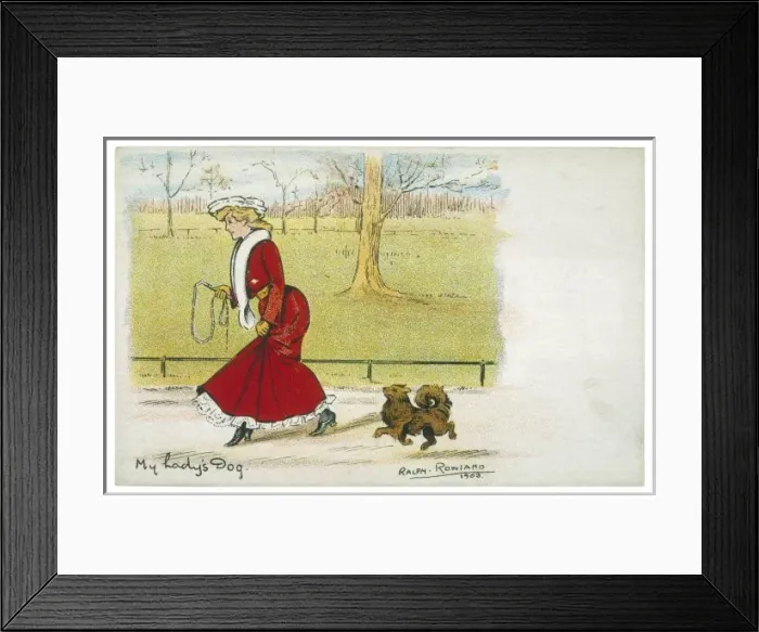 Framed Print : Walking Pomeranian Park Framed Print : Walking Pomeranian Park