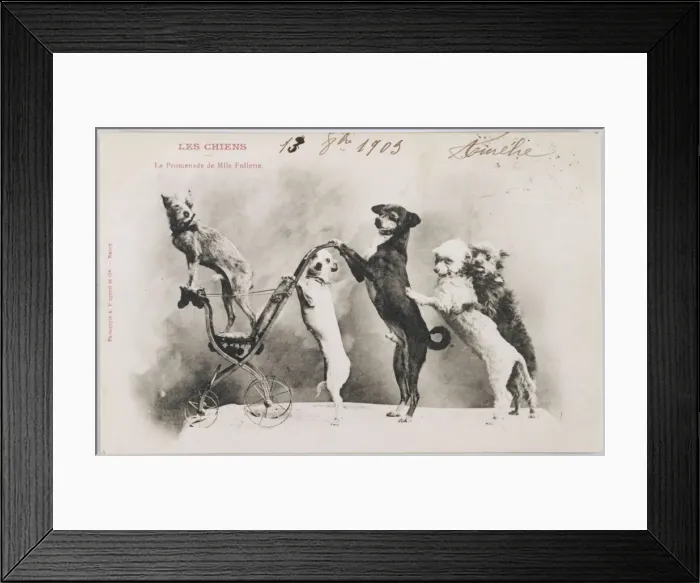 Framed Print : Mademoiselle Follette Framed Print : Mademoiselle Follette