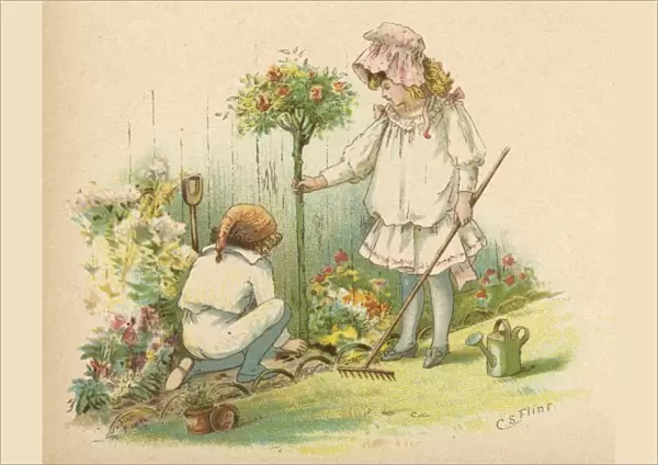Children Plant Rosebush
