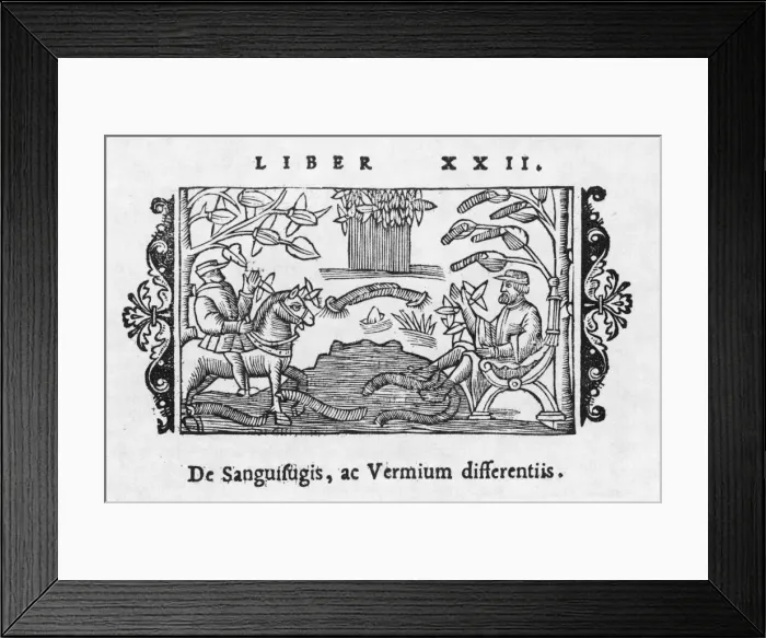 Framed Print : Letting with Leeches Framed Print : Letting with Leeches