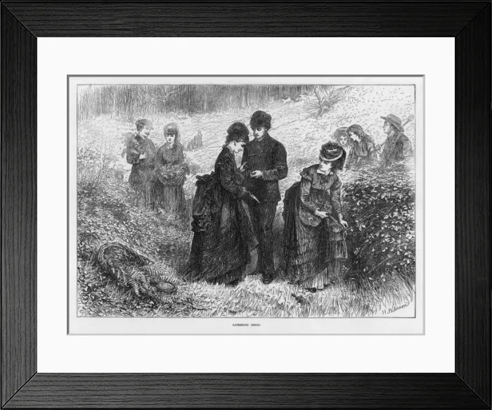 Framed Print : People Gathering Ferns Framed Print : People Gathering Ferns