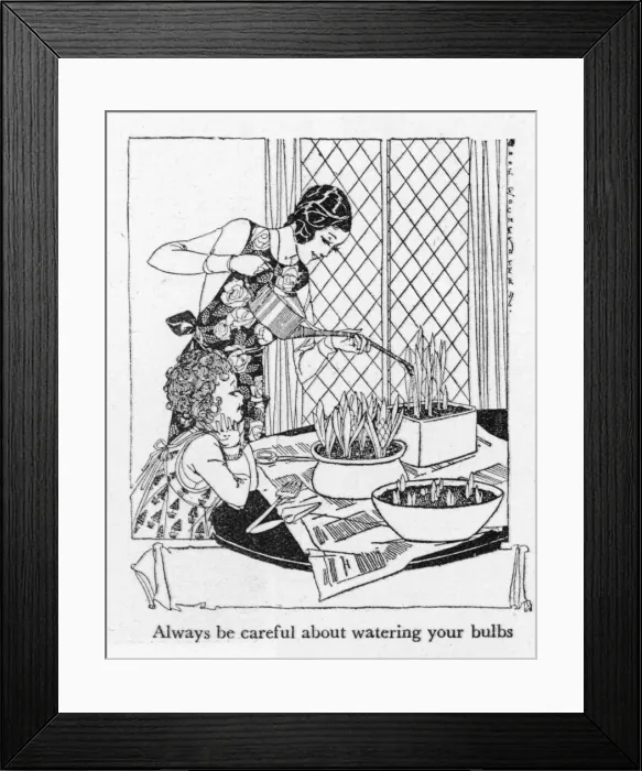 Framed Print : Watering Bulbs Indoors Framed Print : Watering Bulbs Indoors