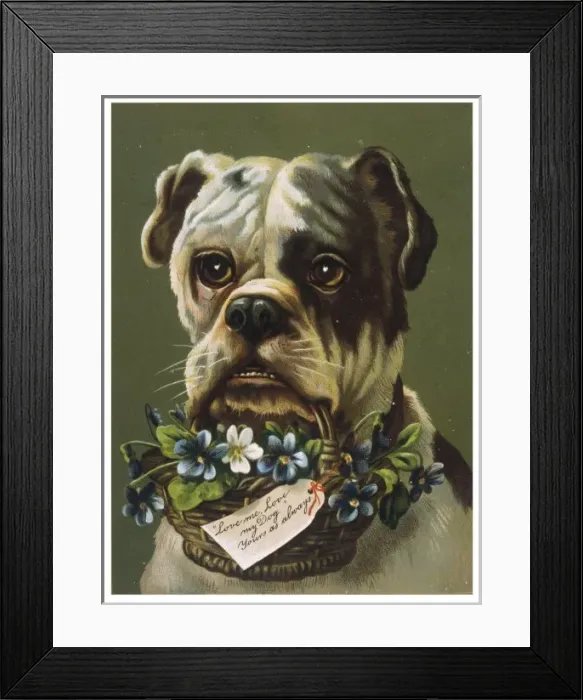 Framed Print : Dog and Flower Basket Framed Print : Dog and Flower Basket