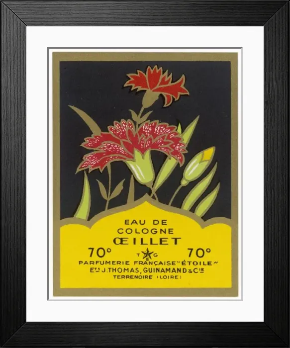 Framed Print : Eau De Cologne Oeillet Framed Print : Eau De Cologne Oeillet