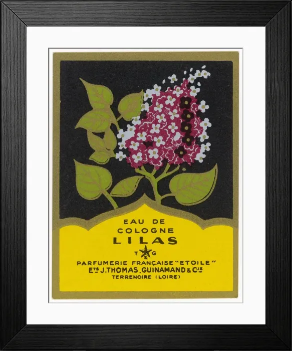 Framed Print : Eau De Cologne Lilas Framed Print : Eau De Cologne Lilas