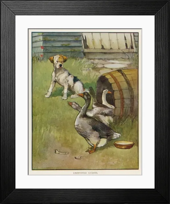 Framed Print : Dog and Geese Framed Print : Dog and Geese