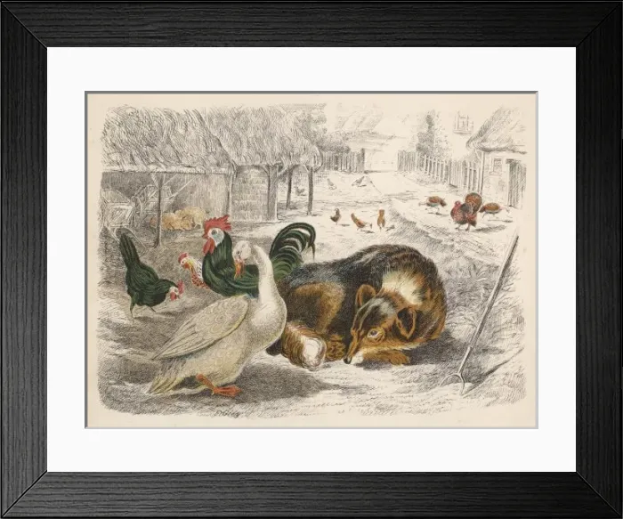 Framed Print : Dog and Poultry Framed Print : Dog and Poultry