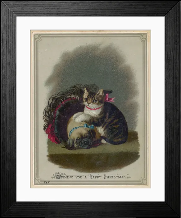 Framed Print : Dog and Cat Framed Print : Dog and Cat