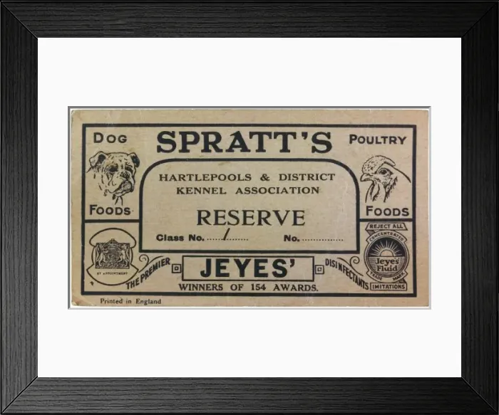 Framed Print : Dog Show Card Reserve Framed Print : Dog Show Card Reserve