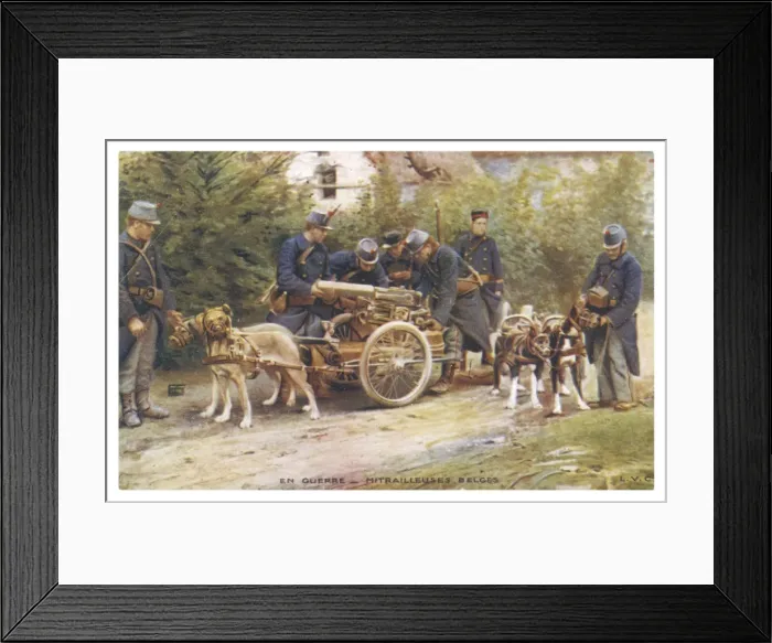 Framed Print : Belgian Dogs Haul Guns Framed Print : Belgian Dogs Haul Guns