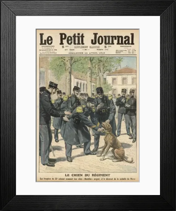 Framed Print : War Dog Promoted Framed Print : War Dog Promoted