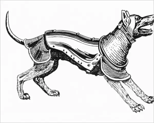Ancient Dog Armour - 1