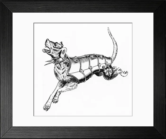 Framed Print : Ancient Dog Armour - 3 Framed Print : Ancient Dog Armour - 3