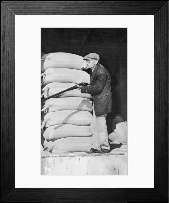 Framed Print : Opposing the Martians Framed Print : Opposing the Martians