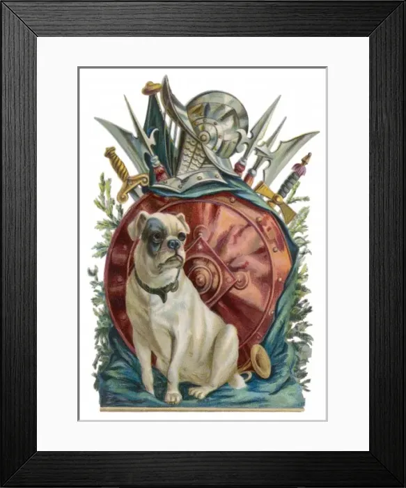 Framed Print : Belligerent Bulldog Framed Print : Belligerent Bulldog