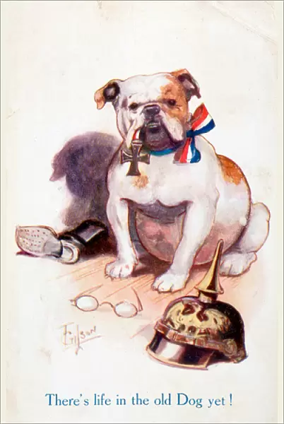 Ww1 Postcard Bulldog