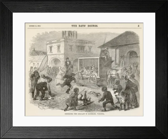 Framed Print : Rounding up Stray Dogs Framed Print : Rounding up Stray Dogs