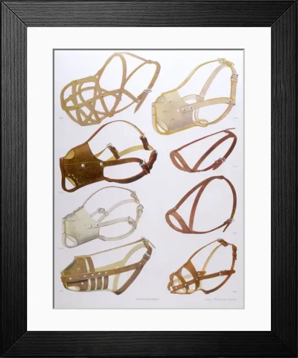 Framed Print : French Muzzles Framed Print : French Muzzles