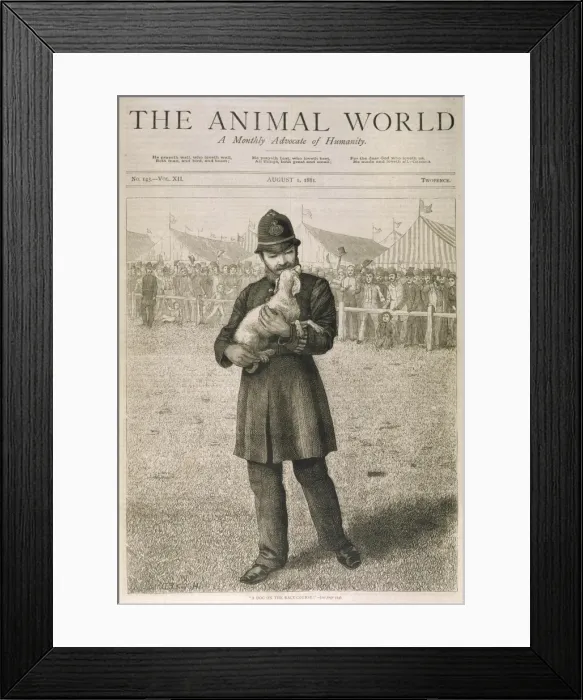 Framed Print : Stray Dog on Course Framed Print : Stray Dog on Course