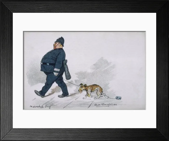 Framed Print : Stray Taken in Custody Framed Print : Stray Taken in Custody