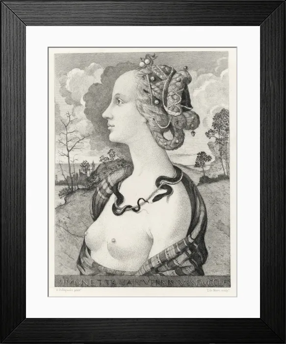 Framed Print : Simonetta Vespucci Framed Print : Simonetta Vespucci