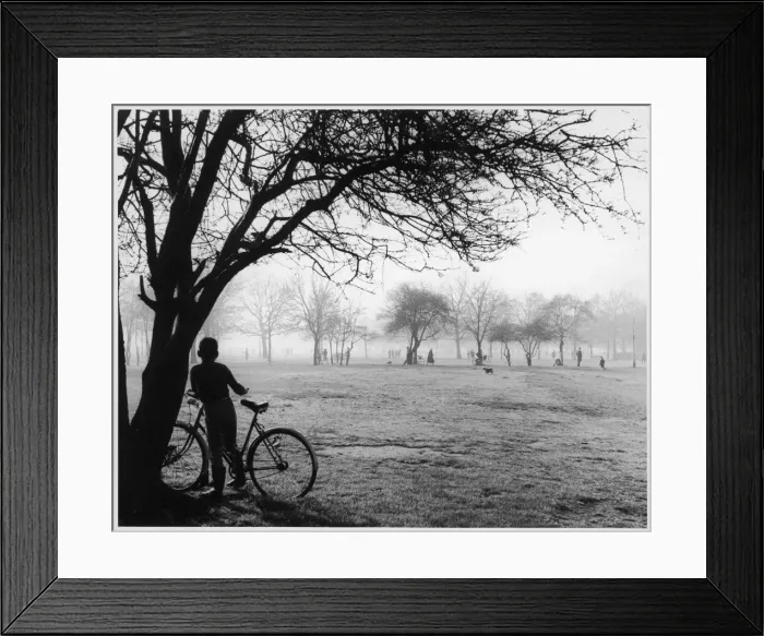 Framed Print : Boy in Park 1960S Framed Print : Boy in Park 1960S