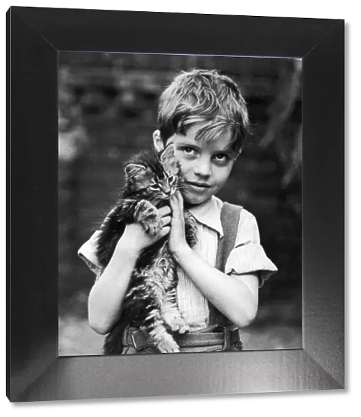 Boy Holding a Kitten