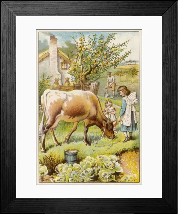 Framed Print : Milking Cow / Children Framed Print : Milking Cow / Children