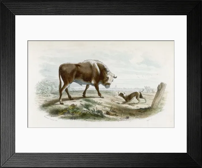 Framed Print : Bull with Dog Framed Print : Bull with Dog