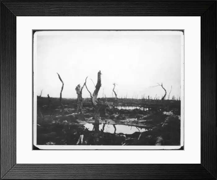 Framed Print : Devastated Battlefield Framed Print : Devastated Battlefield