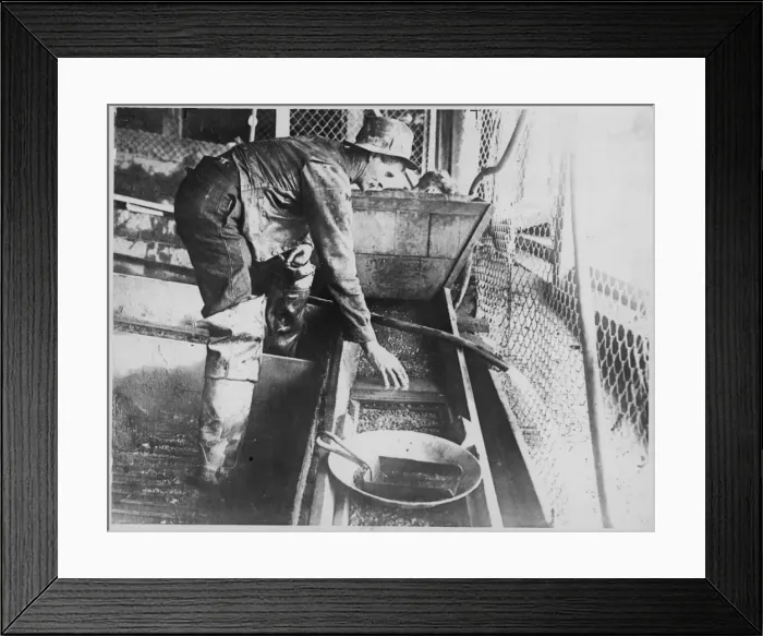 Framed Print : Panning Alluvial Gold Framed Print : Panning Alluvial Gold