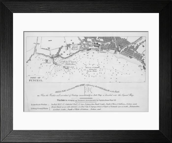 Framed Print : Medeira / Funchal C19Th Framed Print : Medeira / Funchal C19Th