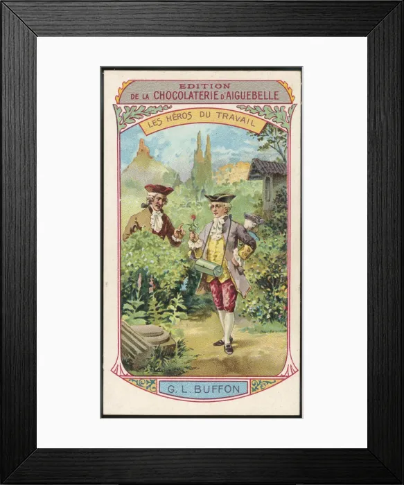 Framed Print : Buffon (Card) Framed Print : Buffon (Card)