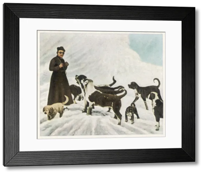 Framed Print : St Bernards in Tibet Framed Print : St Bernards in Tibet