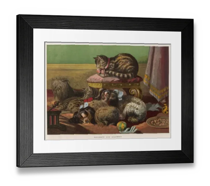 Framed Print : K C Spaniel and Friends Framed Print : K C Spaniel and Friends