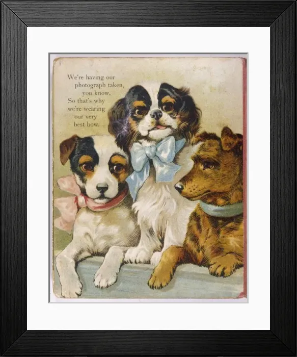 Framed Print : K C Spaniel and Terriers Framed Print : K C Spaniel and Terriers