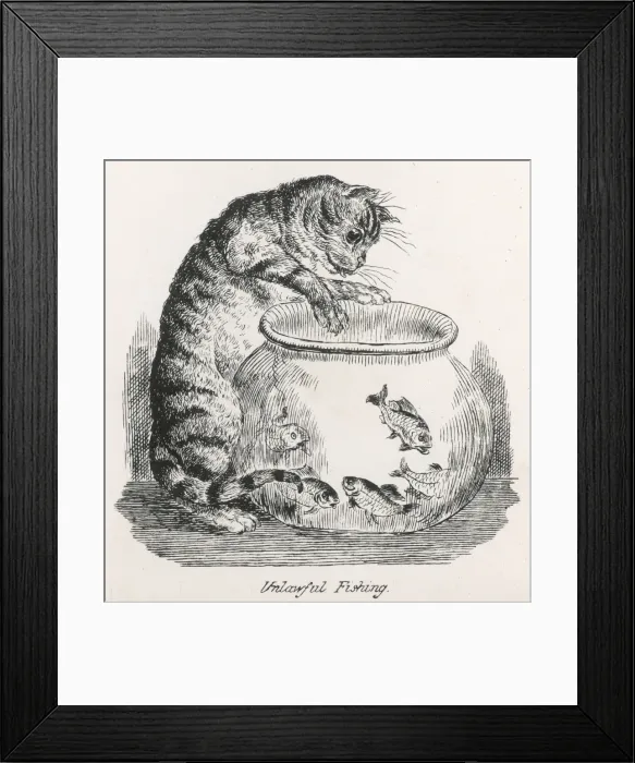Framed Print : Cat and Goldfish Framed Print : Cat and Goldfish