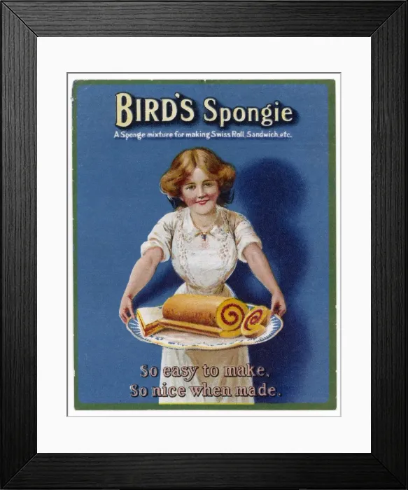 Framed Print : SWISS ROLL Framed Print : SWISS ROLL