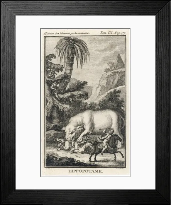 Framed Print : Huge Hippo and People Framed Print : Huge Hippo and People