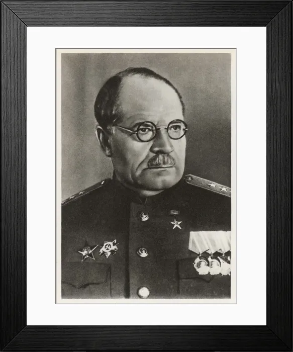 Framed Print : Nikolai Burdenko Framed Print : Nikolai Burdenko