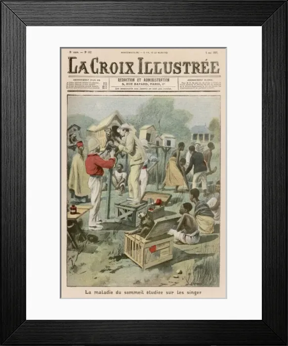 Framed Print : Sleeping Sickness Framed Print : Sleeping Sickness