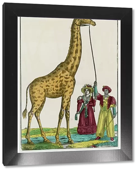 Giraffe at Paris 1826