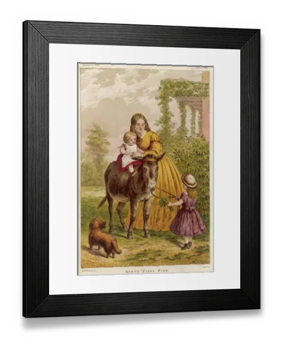 Framed Print : Babys First Ride Framed Print : Babys First Ride