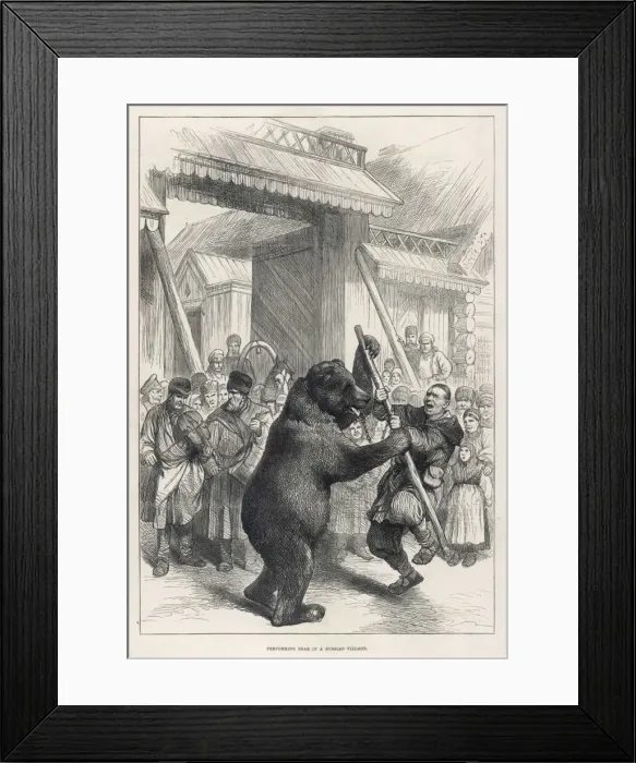 Framed Print : Bear Performs Fight Framed Print : Bear Performs Fight