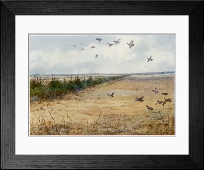 Framed Print : Partridges Sandringham Framed Print : Partridges Sandringham