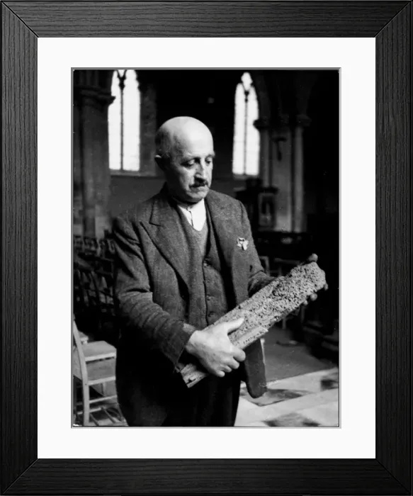 Framed Print : Death Watch Beetle Framed Print : Death Watch Beetle